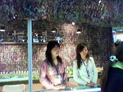 2005.10.24 Shenzhen salon, Stand avec filet U. S. Woodlands 2.jpg