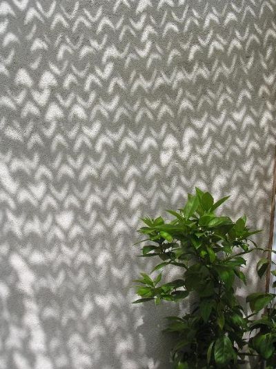 Filets de camouflage et d&eacute;coratif - ombre projet&eacute;e.